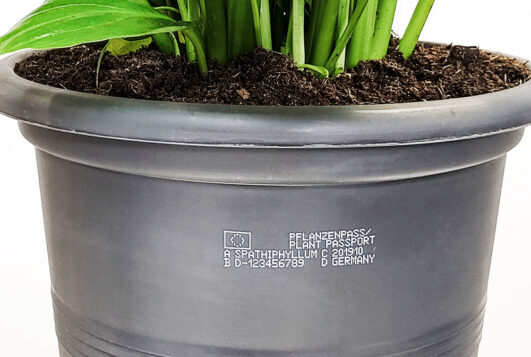 plant-passport-sample2